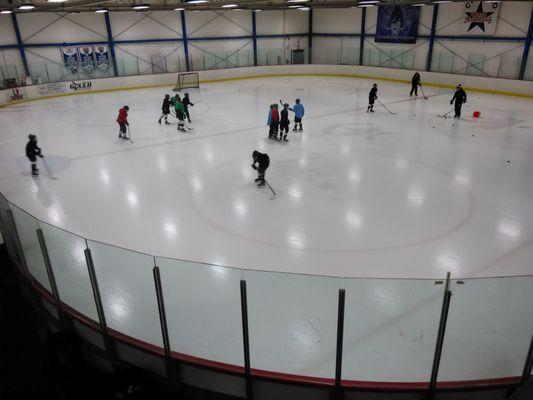 Bulldogs Team Practice on Training Rink