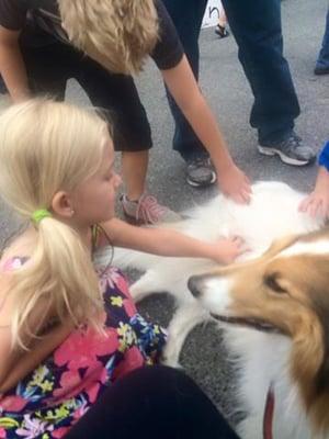 Avalanche, a registered therapy dogs, relaxing while kids learn how to appropriately pet unknown dogs.