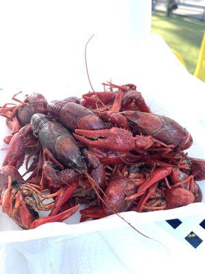 Crawfish boil season