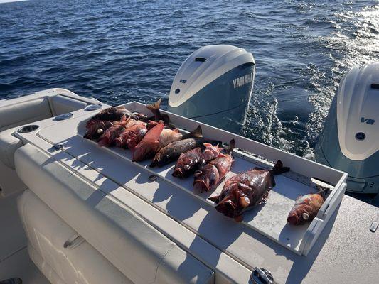 Yamaha outboard and the catch of the day.