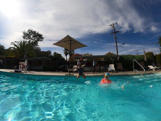 Jumping in the pool is everyone favorite