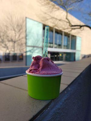 Berry Gelato