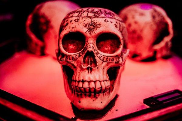 "Chamber of horror" escape room