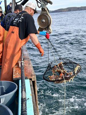 Crab pot hauling