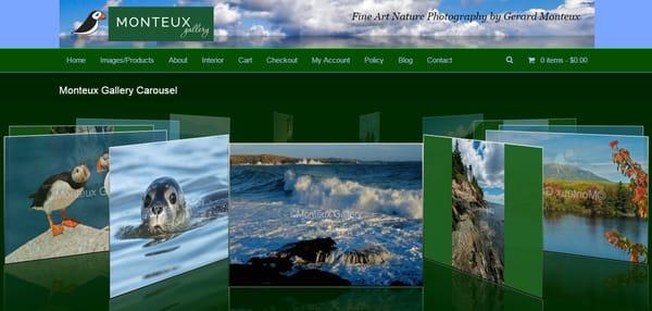 Website Design for Photographer