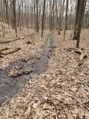 The green trail is not well marked especially with the little stream.