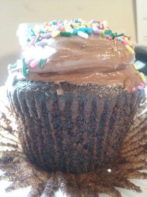 Mammoth chocolate fudge cupcake with chocolate icing. These are meant to be shared. (Yeah. Right.)