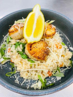 Lemon risotto with scallops