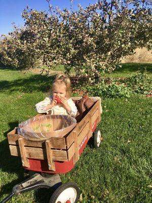 Wagon rides and apple tasting are the best!