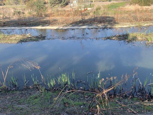 Upper Guadalupe River Trail