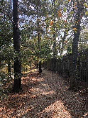 The trail near the back of the complex. Runs down left side of complex.