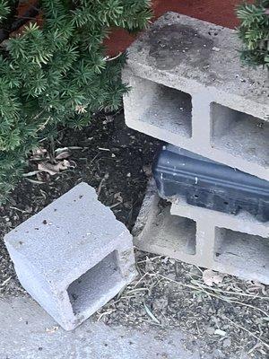 Rat trap held down by cinder blocks