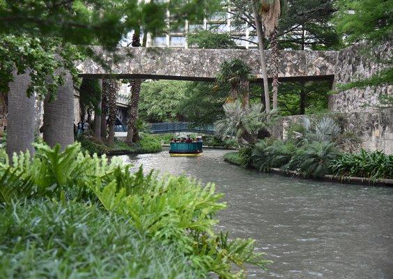 The historic architecture, stone bridges, large cypress trees, and lush vegetation that wind along the River Walk is simply stunning.