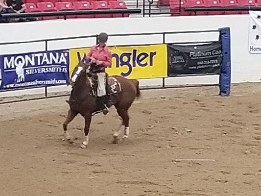 Cowgirl prepping her horse to run the obstacle course