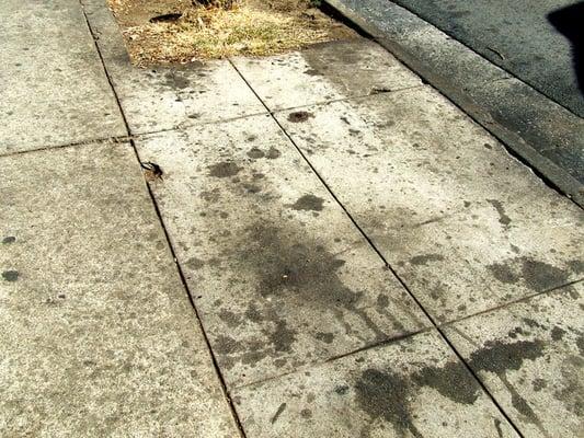 this sidewalk was brand-new before they started squatting there.