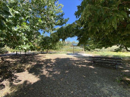 The picnic tables.