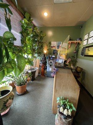 Front desk, including an ATM machine and beautiful plants.