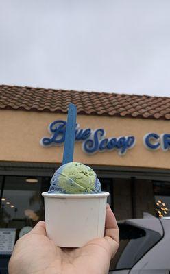 Matcha edition for Earth Day in small/one scoop 4.22.24