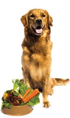 Natural, holistic pet food made in the USA!