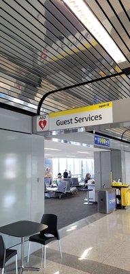 Guest Services Spirit Airlines