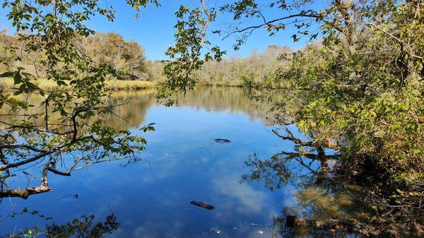 the OgeeChee River which ends up at the Savannah RIver