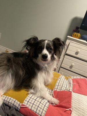 Anxious boi after his groom