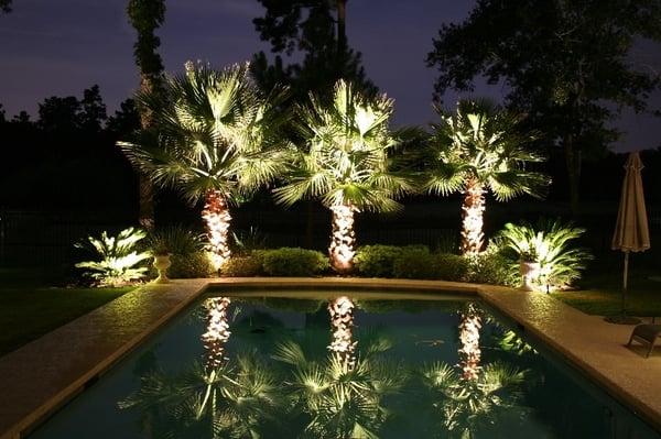 LED landscape lighting.