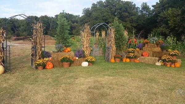 A Fall set up by gardentown, have the staff get your yard decorated for the current season, or stop by and get what you need for your DYI.