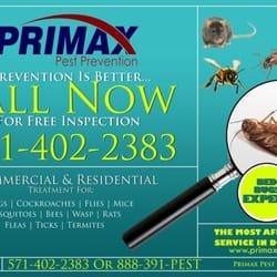 pest control and bedbugs service