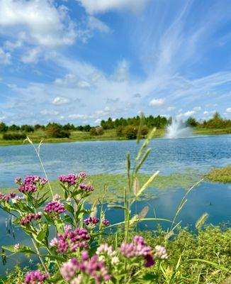 Willow Fork Park