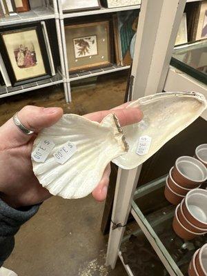 $3 for single sea shells....