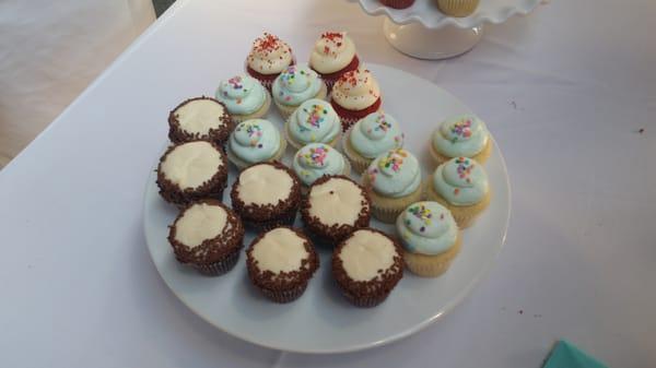 Susie Cakes mini cupcakes! Delicious!!