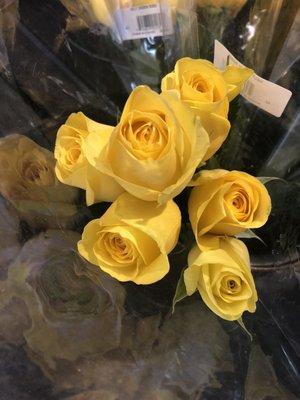 Yellow Roses for sale