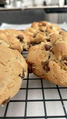 Chocolate Chip Cookie