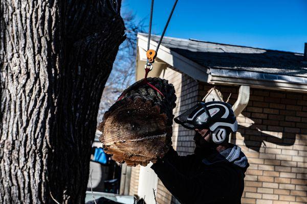 Logs lowered down with a double rope rigging system to avoid damage to house.