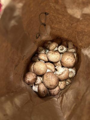 Yummy baby portobello mushrooms!