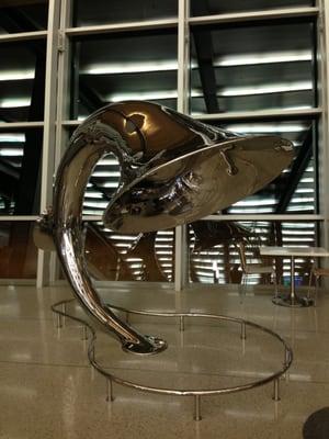 art in the jetblue terminal in sacramento