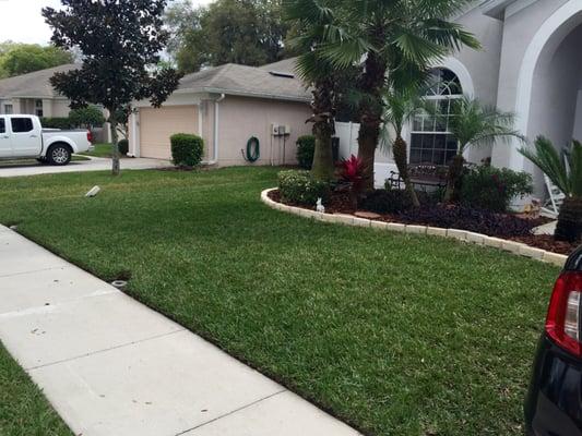 Side front yard cleaned, cut, leaves blown off of grass, edged and looks awesome.