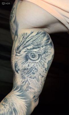 Owl