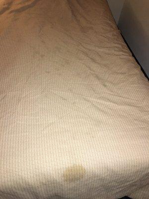 Stains on comforter