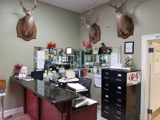 Reception Area. I love the deer on the wall! Nothing like a locally owned business.