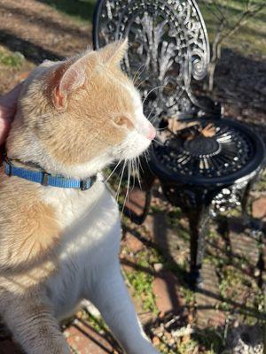 Even had a visitor while sitting outside reading.