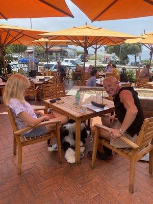 Dudley "down" under the table while you're eating.  birds and dogs literally walked by And Dudley ignored them thanks to Mike Sandman