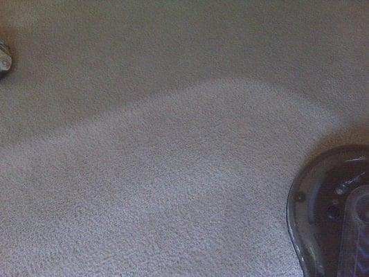 Bianchi Carpet Cleaning