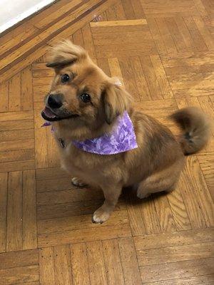 Looking as happy as ever after her grooming with Tina.