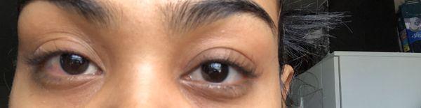 How it started. Next morning no lashes left