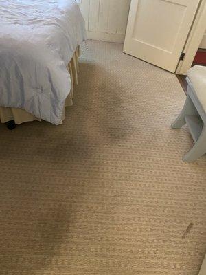 All the carpet looks like this. Want to vacation here and go barefoot? I don't think so!