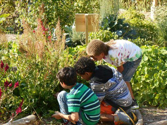 Gardening Class in Sacramento