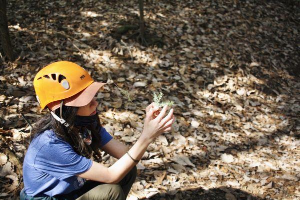 On the eco adventure tour