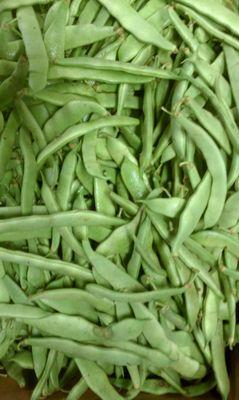 Dickie Bros Orchard beans